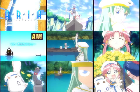 ARIA03-1