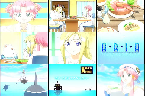 ARIA05-1