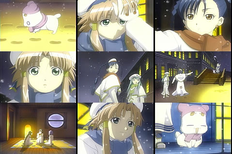ARIA11-8